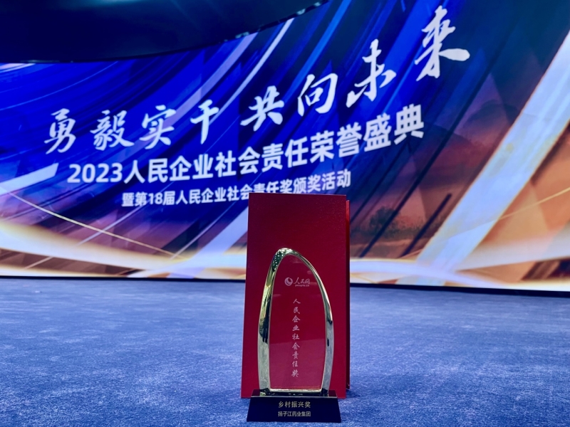 图片6